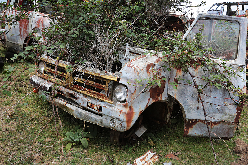 Smash Palace : Car Wreckers : Horopito : New Zealand : Richard Moore : Journalist : Photographer :